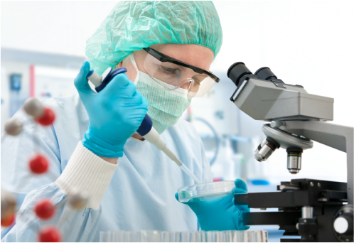 Medical Image 5
